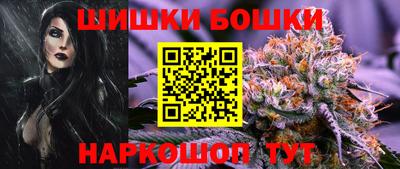 МДПВ Сланцы