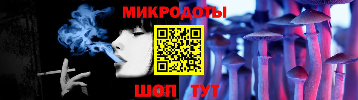 Псилоцибиновые грибы Cubensis Новосибирск
